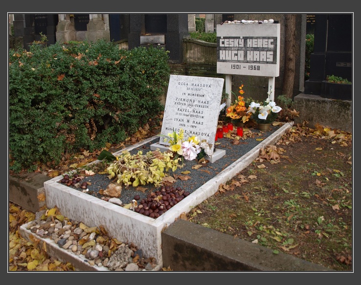 Brno, židovský hřbitov