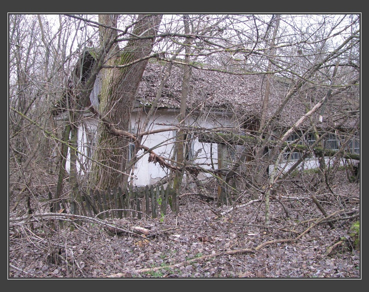 Kopači
