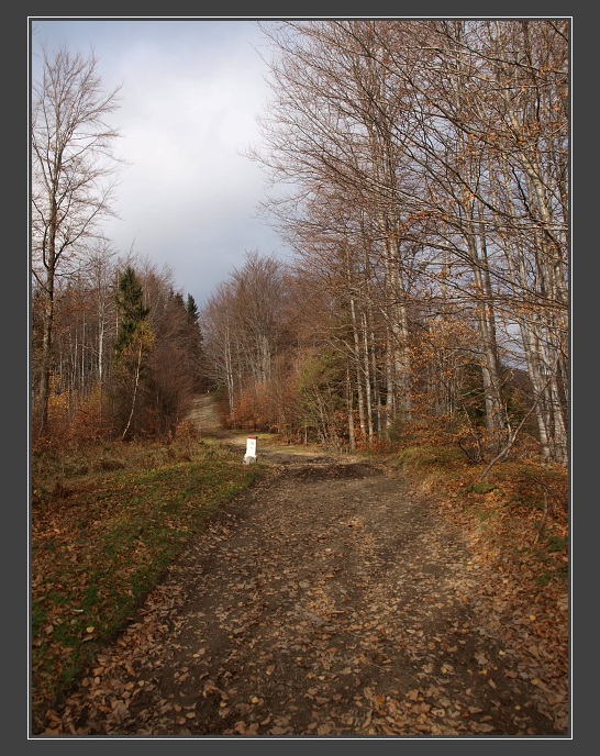 Beskydské sedlo