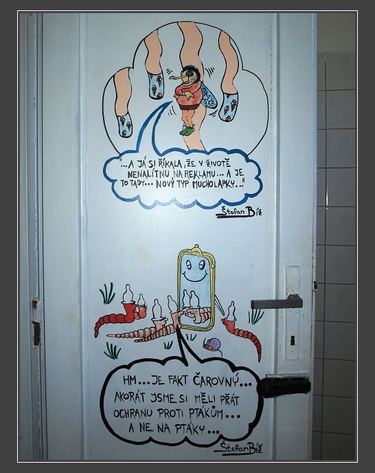 rybník Řeka u Krucemburku