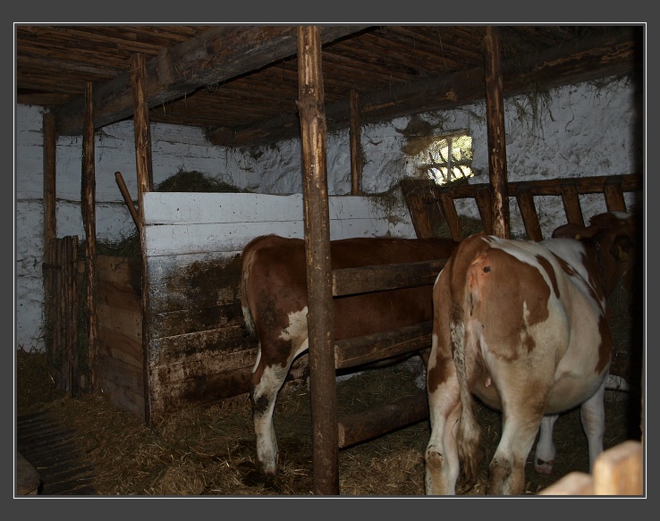 skanzen Veselý kopec poblíž Hlinska