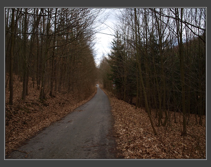 Podkomorské lesy