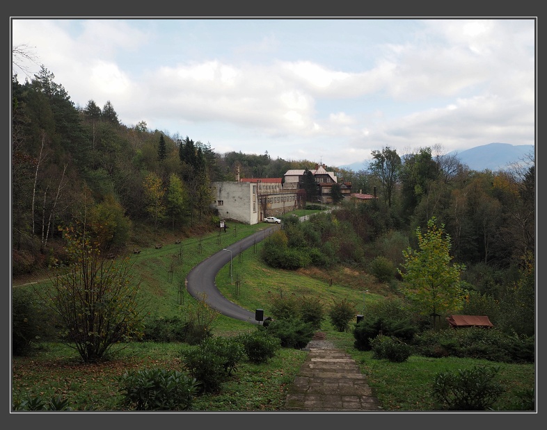 Horečky