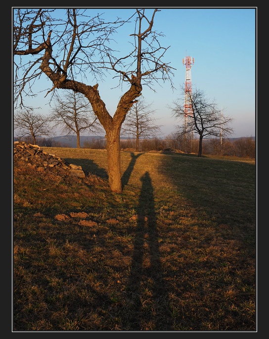 Veselský chlum