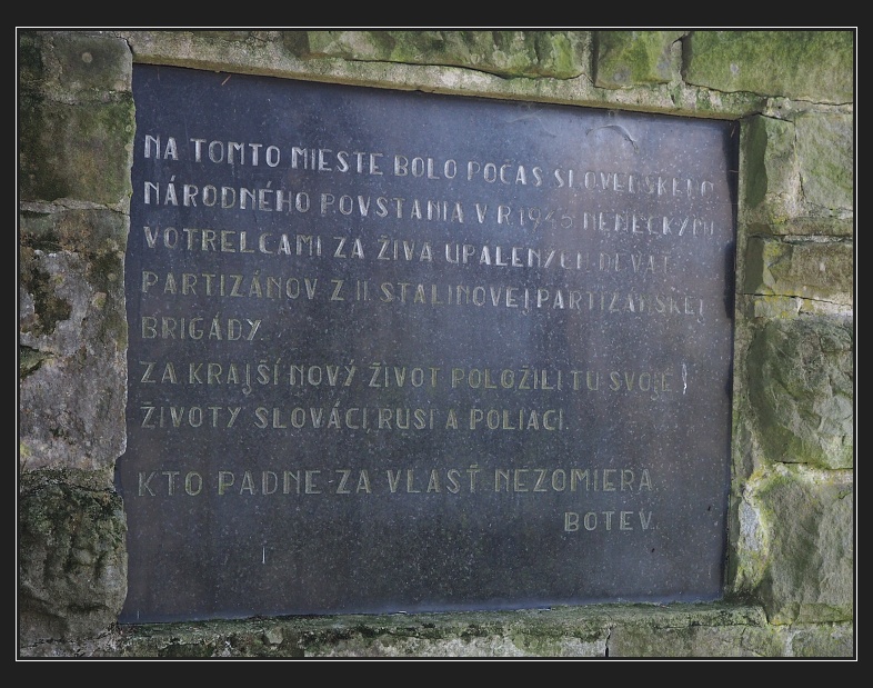 Nárcie