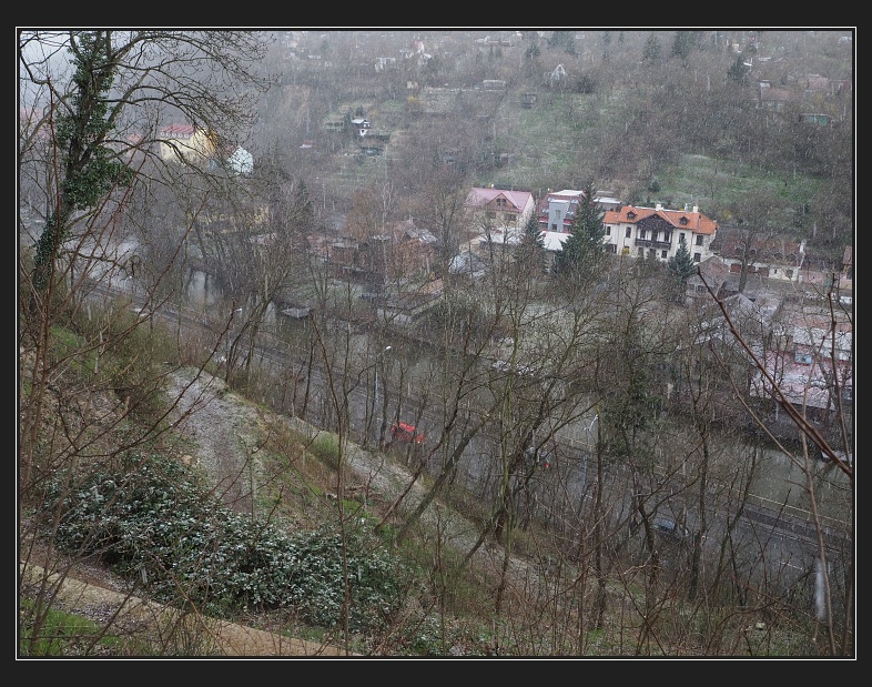 ve svahu Wilsonova lesa