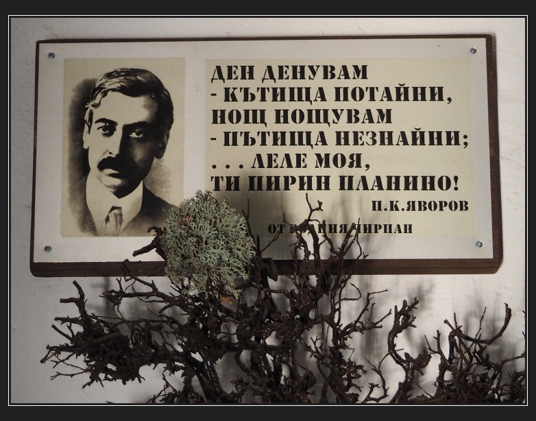 Pirin, chata Javorov