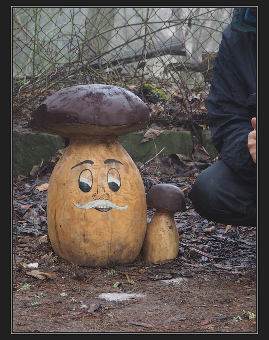 Kočičí žleb