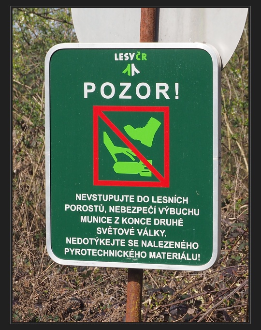 Boří les