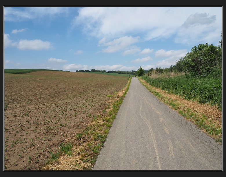 Weinviertel