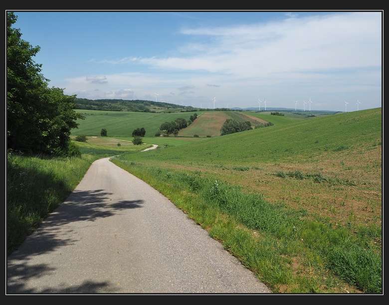 Weinviertel