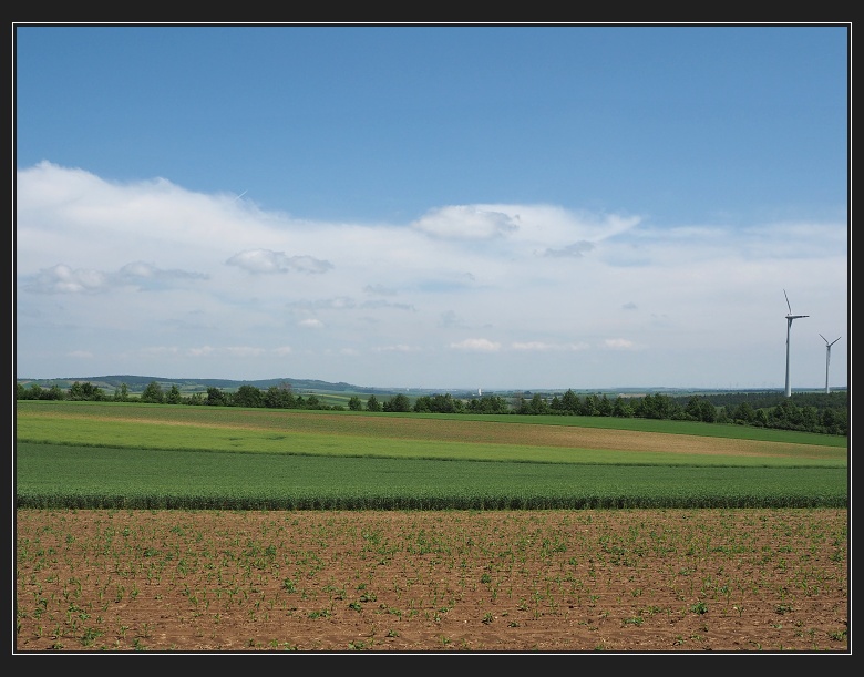 Weinviertel