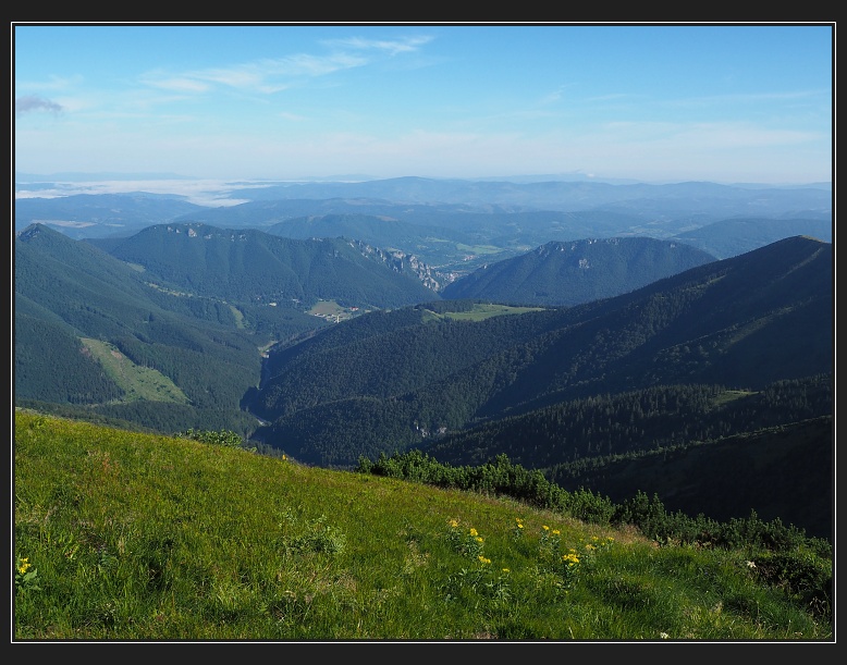 Vrátna