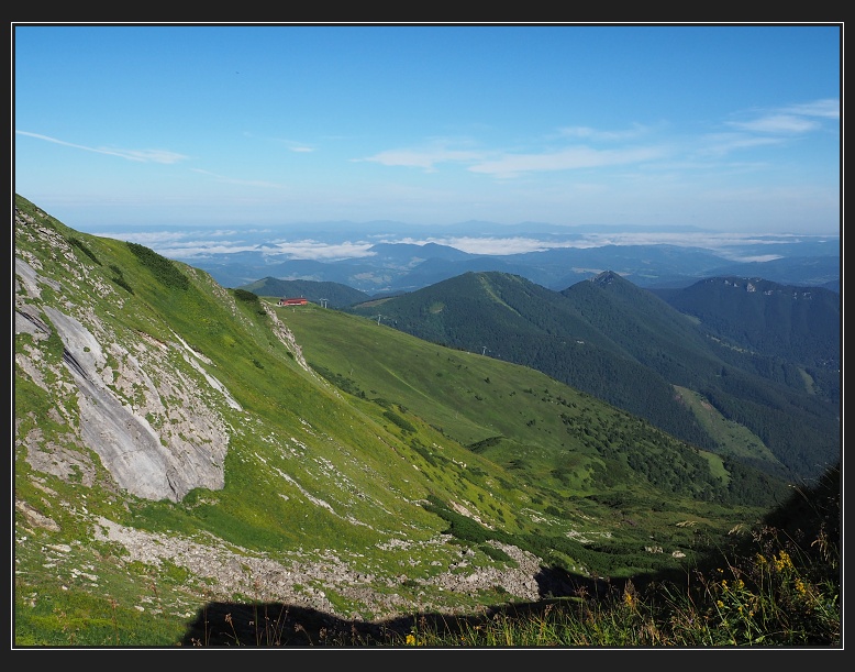 Vrátna