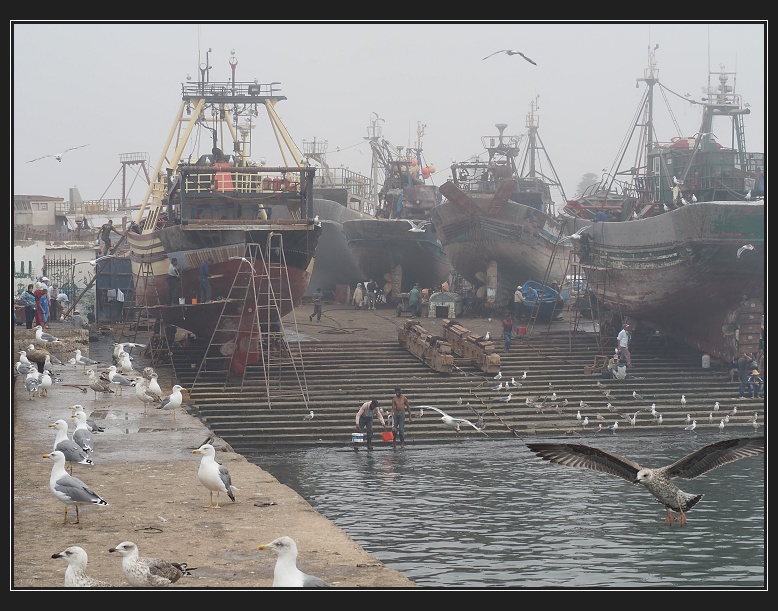Essaouira, přístav