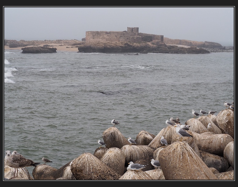 Essaouira, přístav
