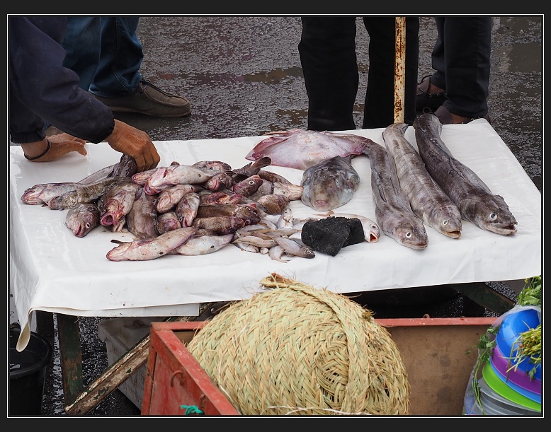 Essaouira, přístav
