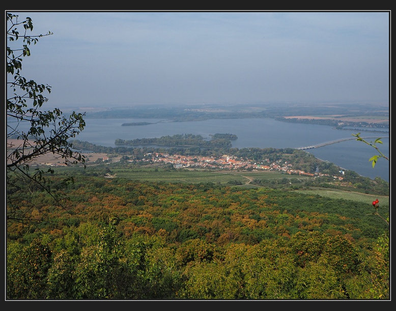 Pálava