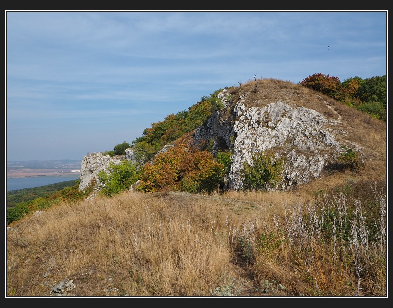 Pálava