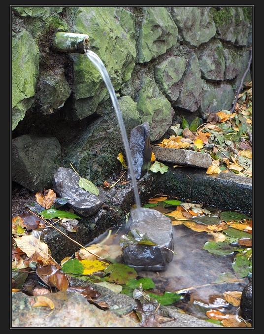 studánka J.Tomečka