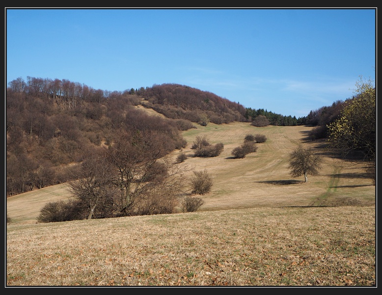 Trtavka
