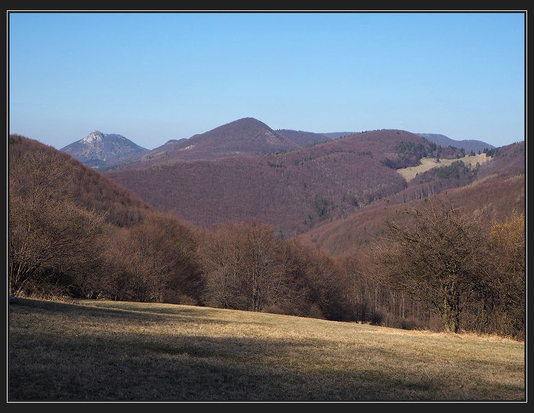 Trtavka
