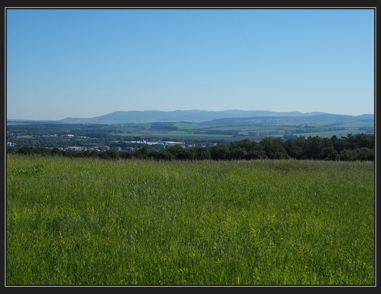 Žlutava