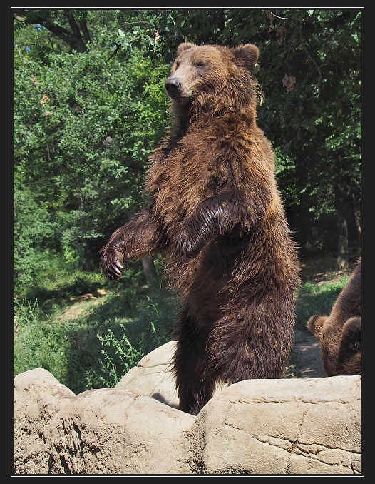 ZOO Brno