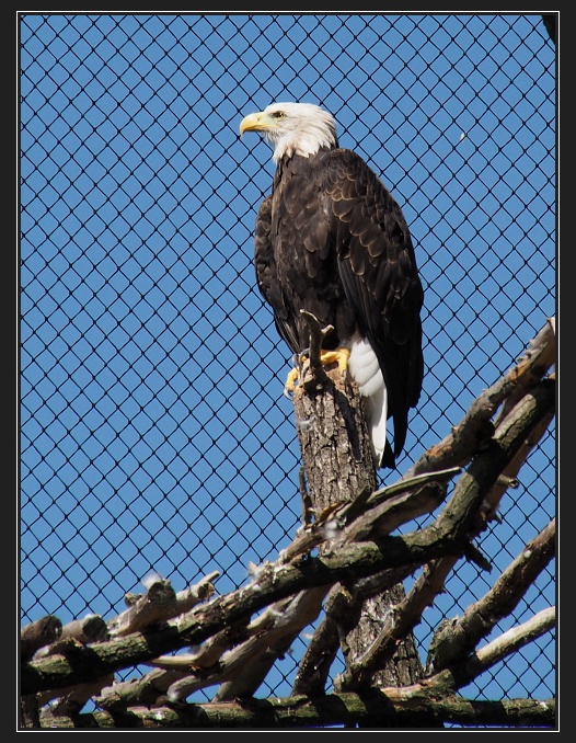 ZOO Brno