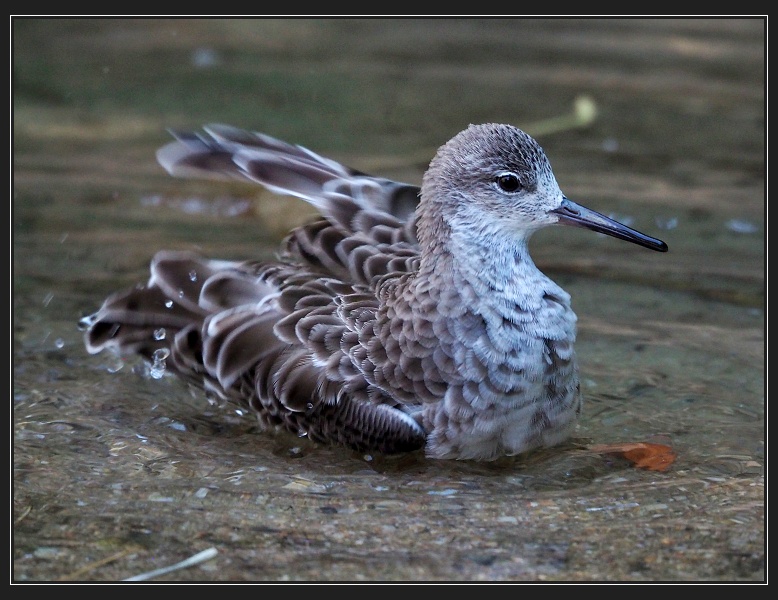 ZOO Brno