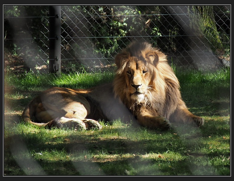 ZOO Brno