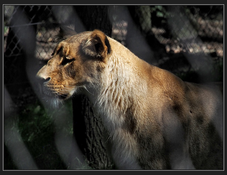 ZOO Brno