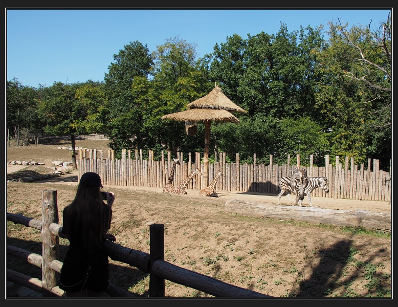 ZOO Brno