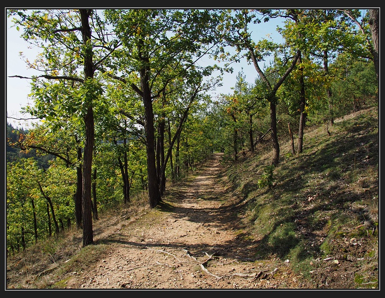 údolí Oslavy a Chvojnice