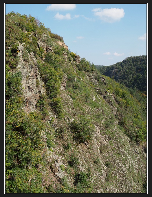 údolí Oslavy a Chvojnice