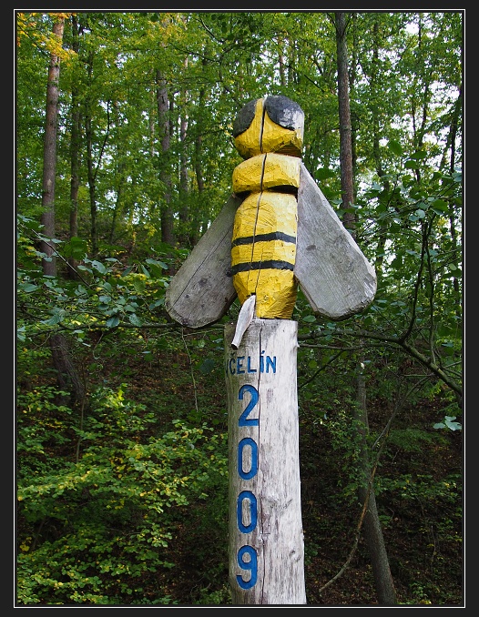 údolí Oslavy a Chvojnice