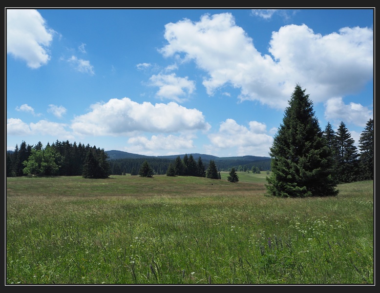 Stadlberg