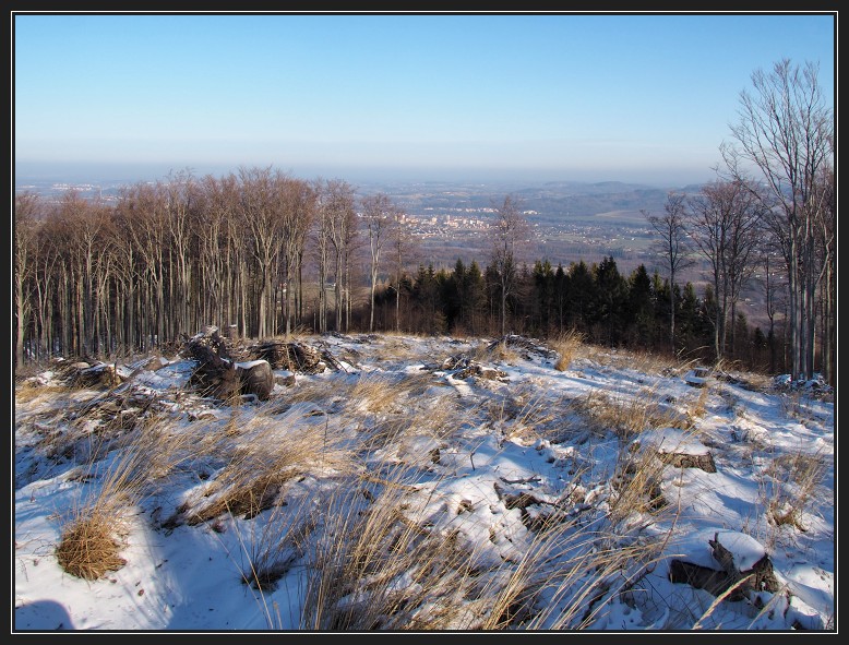 Kozinec