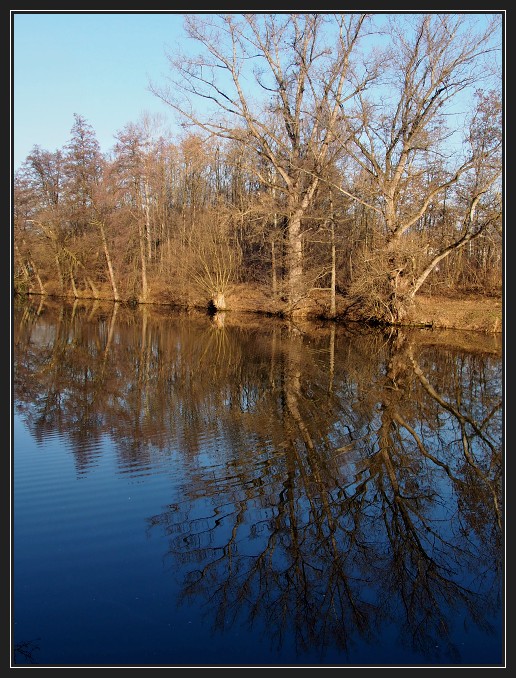 Svratka
