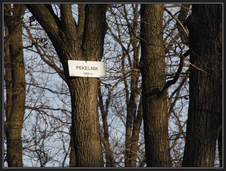 obora Holedná
