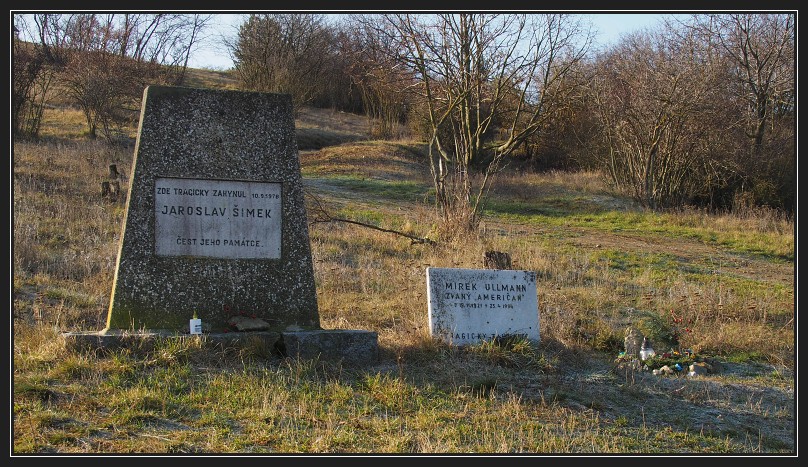 Netopýrky