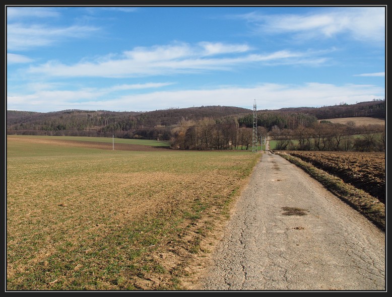 Podkomorské lesy