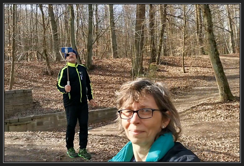 Podkomorské lesy