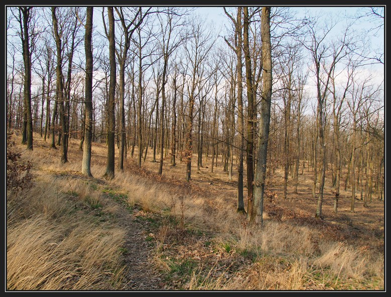 přírodní park Baba