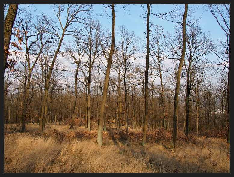přírodní park Baba
