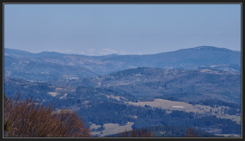 Kostelky