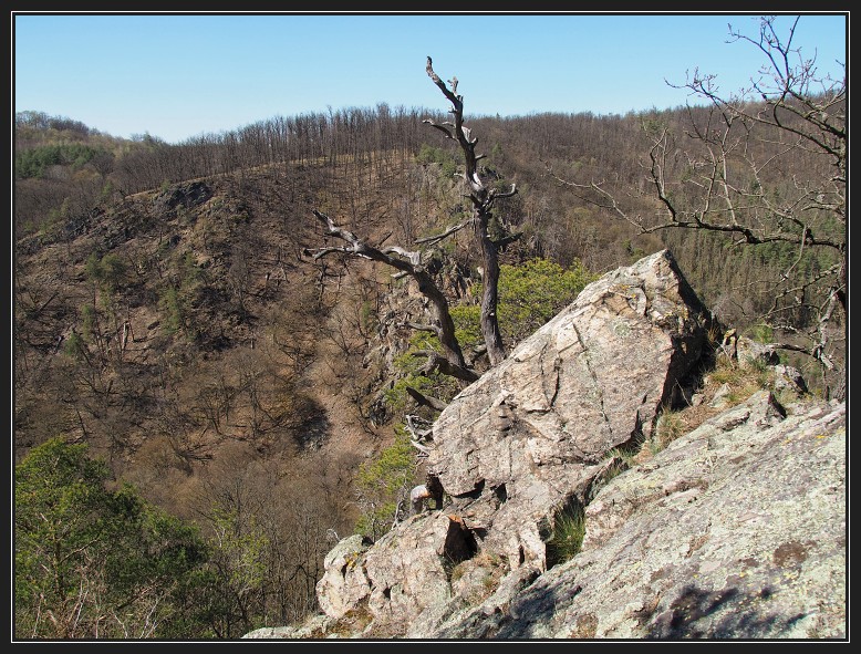 Oslava