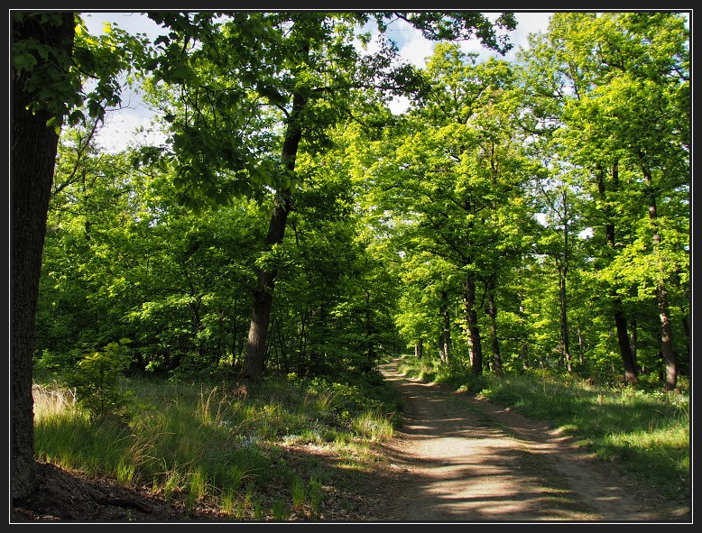 přírodní park Baba
