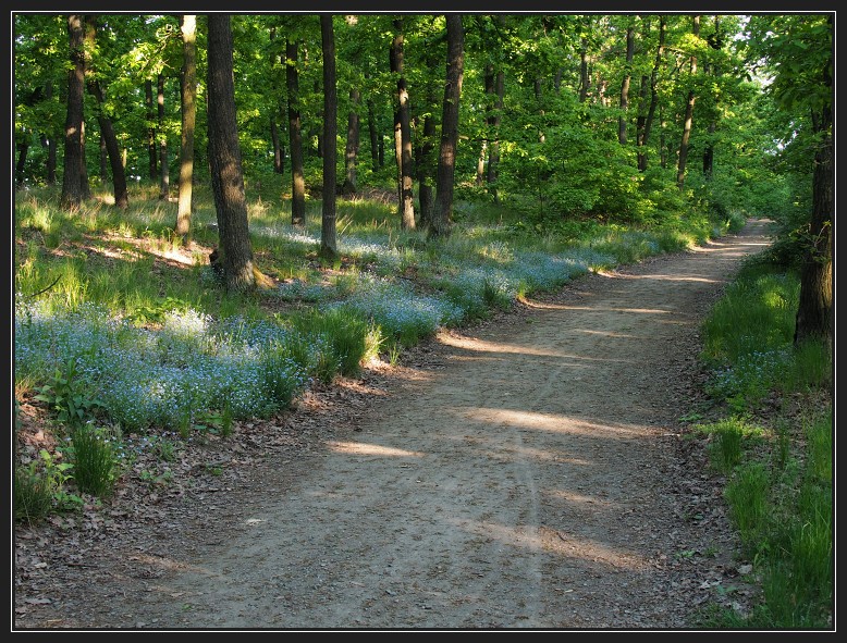 přírodní park Baba