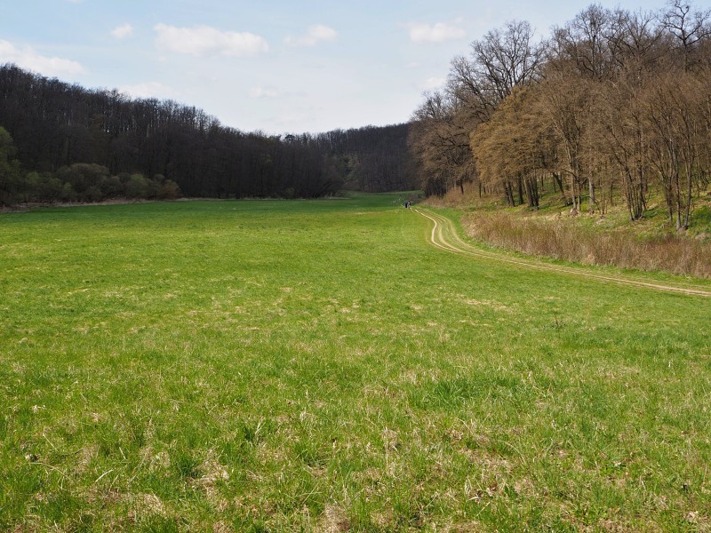 Bobrava